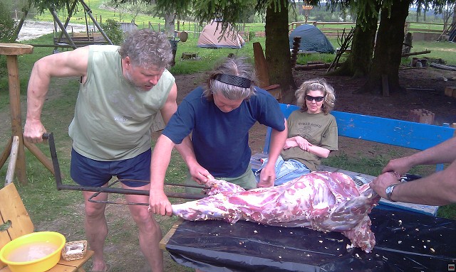 img00018.jpg