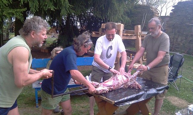 img00019.jpg