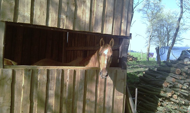 img00038.jpg