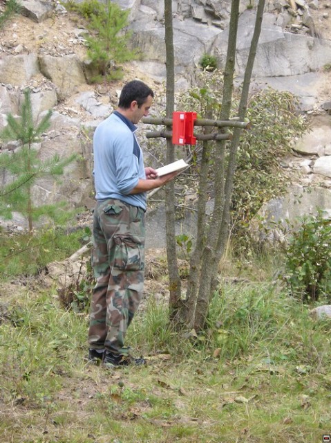 img00003.jpg