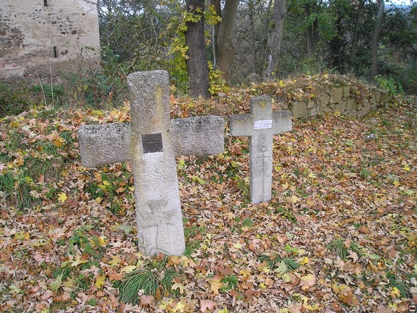 img00005.jpg