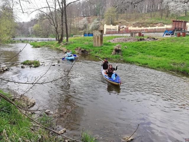 img00008.jpg