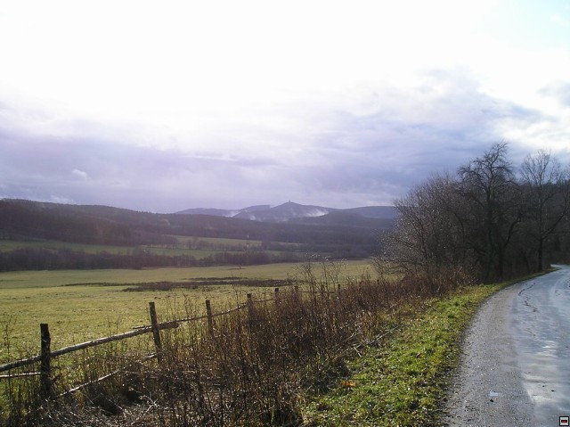 img00009.jpg