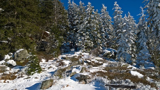 img00014.jpg