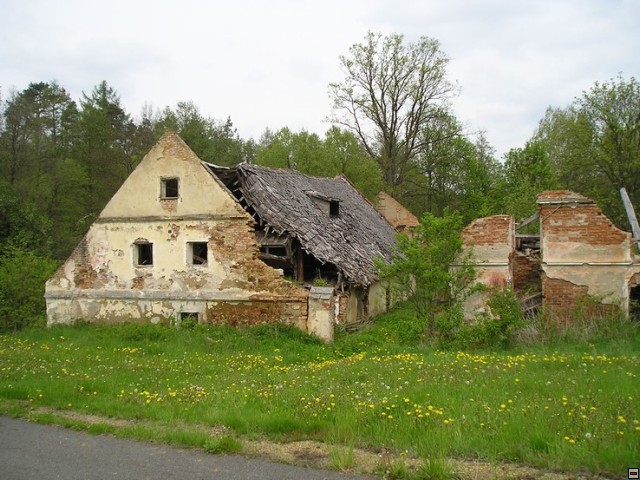 img00010.jpg