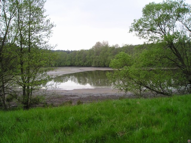 img00018.jpg