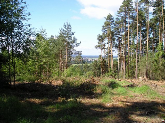 img00001.jpg