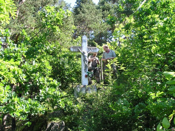 img00007.jpg