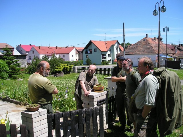 img00009.jpg