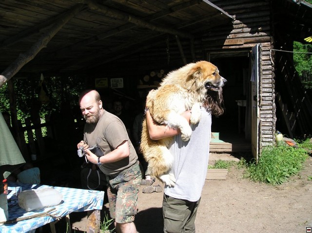 img00014.jpg