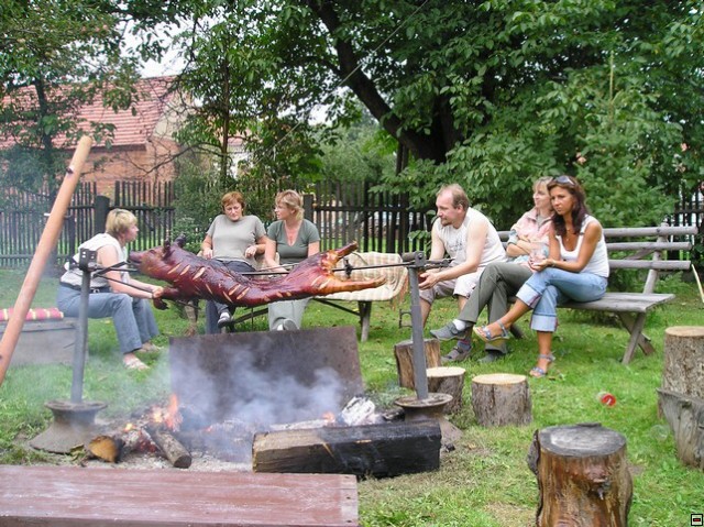 img00004.jpg