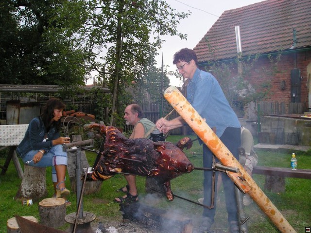 img00007.jpg