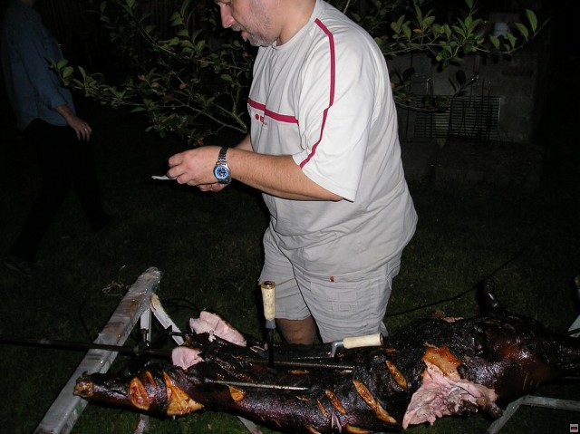 img00012.jpg