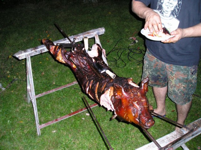 img00013.jpg