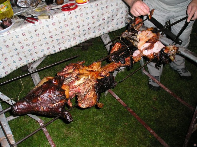 img00033.jpg
