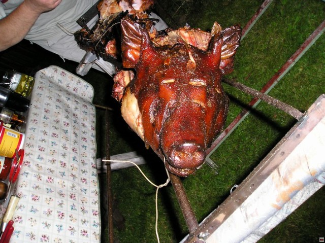 img00034.jpg