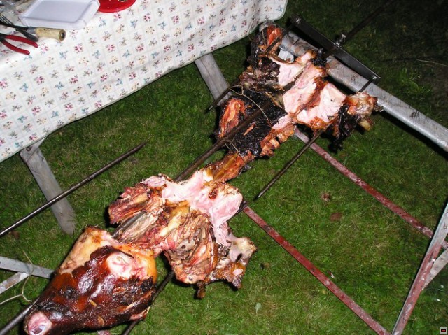 img00038.jpg