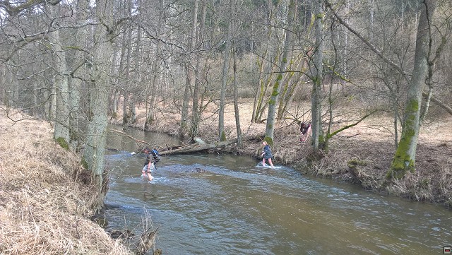 img00007.jpg