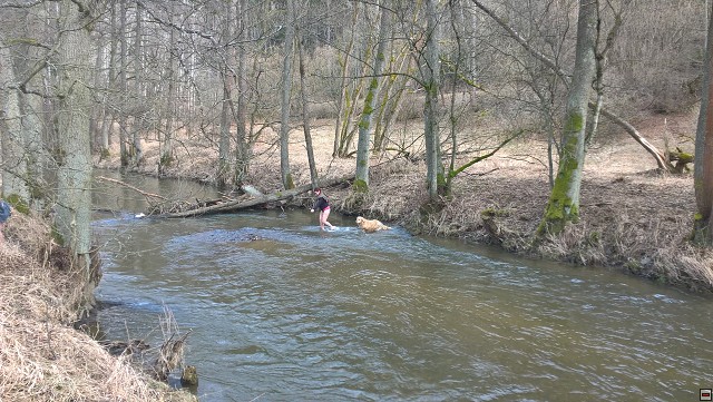 img00009.jpg